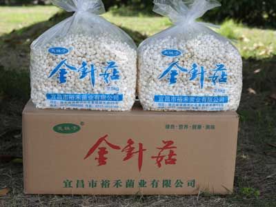 商城產品：《夷妹子》金針菇