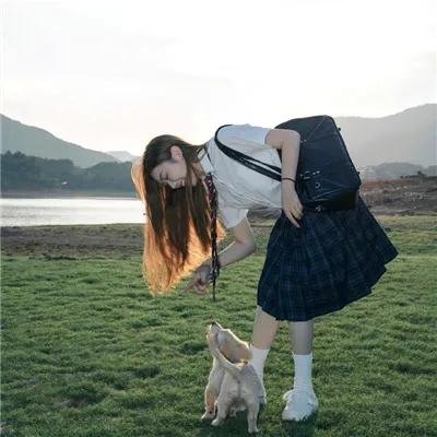 出墙花
