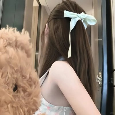 鸽之翼